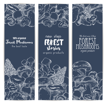 Mushroom shop banners of sketched edible forest mushrooms champignon and chanterelle, russule and milk mushroom or honey agaric, gourmet morel and truffle, woolly milkcap porcini and organic cep. Vertical vector design setのイラスト素材
