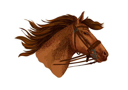 Horse head with bridle. Running or racing mustang stallion vector sketch symbol for equestrian horserace club or sport riding bets or equine exhibition design. Wild or arabian brown mareのイラスト素材
