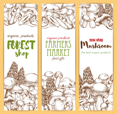 Mushrooms banners set. Vector sketch of edible mushrooms champignon, forest cep, morel, chanterelle, russule, milk mushroom honey agaric, Vegetaian or vegan food nutrition, truffle, woolly milkcap porcini. Gourmetのイラスト素材