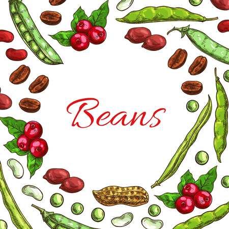 Beans and nuts poster. Vector fresh and roasted coffee beans, nutritious dried peanuts in shell, legume beans, green peas pods. Vegetarian and vegan vegetable food nutrition of plants seeds in round shapeのイラスト素材