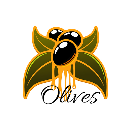 Olive oil dripping from fresh olives. Vector icon olive tree branch with green leaves and black ripe olive fruits. Isolated emblem or symbol for olive oil bottle label, vegetarian vegetable food, salad dressing or olive-pomace sauceのイラスト素材