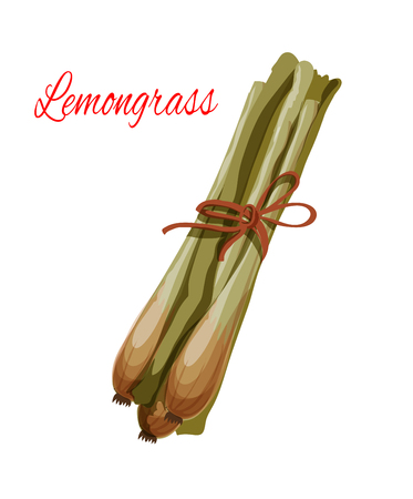 Lemongrass or lemon grass vector icon. Herbal spice plant or green herb of asian or oriental cuisine culinary condiment, salad dressing or flavoring ingredient. Isolated vector piquant plant branchのイラスト素材