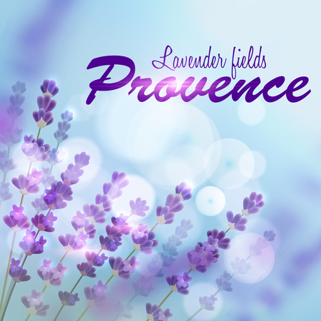 Lavender background for perfume, aroma therapy, soap, cosmetic, perfumery products design. Provence fields of blooming lavender on background of blue blurred sun lightのイラスト素材