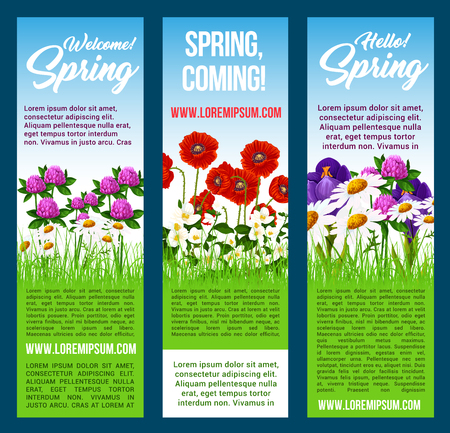Spring flowers vector banners. Floral design for Hello and Welcome Spring holiday greetings. Green grass field of springtime blooming poppy, clover flowers, blue crocuses and chamomile daisy blossomsのイラスト素材