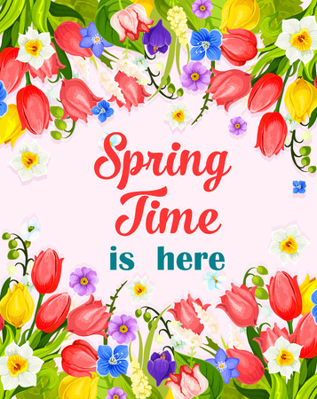 Spring Time is Here vector greeting card floral design of blooming March tulips or irises, blue crocuses and April snowdrops or yellow daffodils blossoms. Springtime bouquets and flowers bunchesのイラスト素材