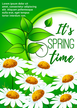 Spring poster design with daisy flowersのイラスト素材