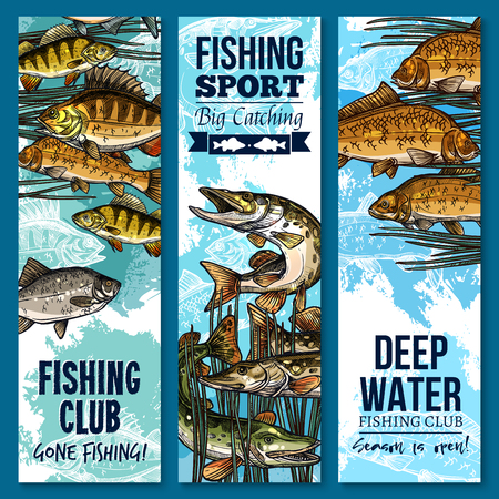 Fishing sport club banner set with swimming fishのイラスト素材