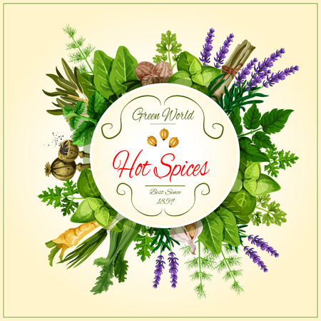 Spices and leaf vegetable poster for food designのイラスト素材