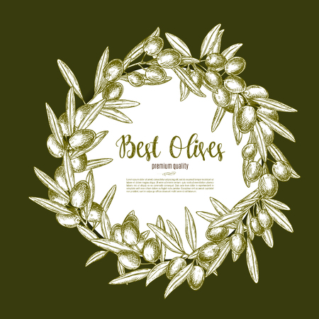 Olive fruit wreath sketch poster for food designのイラスト素材