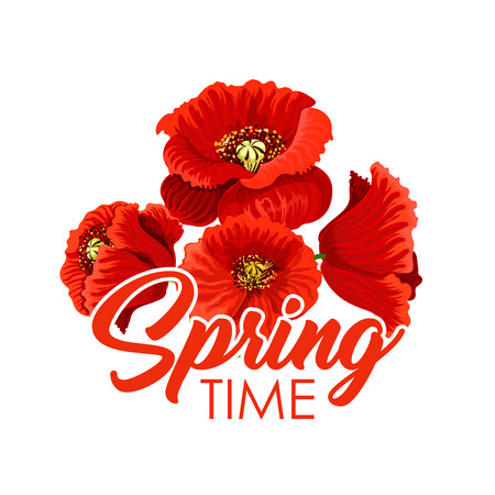 Vector spring flowers poppy bunch greeting posterのイラスト素材