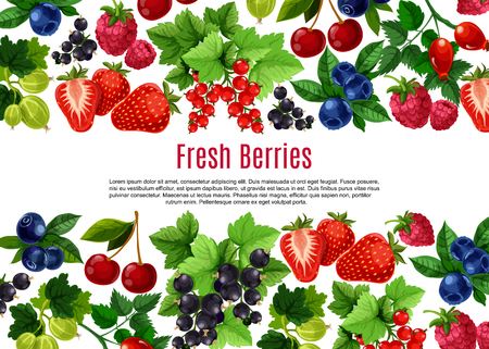 Berry and fruit cartoon poster template designのイラスト素材