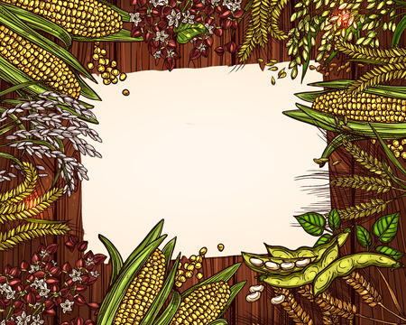 Grain and cereals recipe blank sheet vector noteのイラスト素材