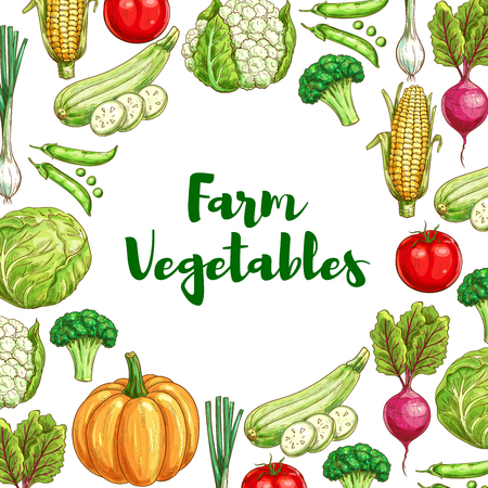 Vegetables poster for organic farm food designのイラスト素材