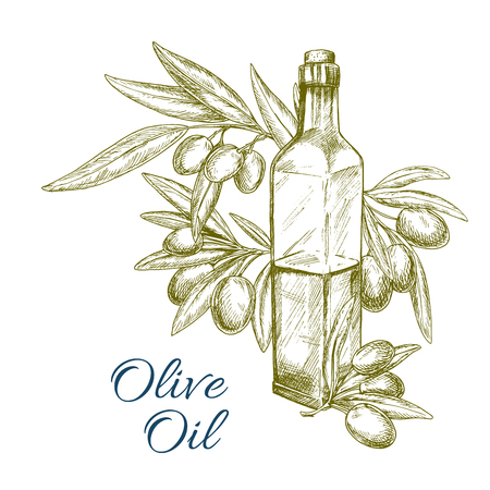 Olive oil bottle and olives branch vector sketchのイラスト素材