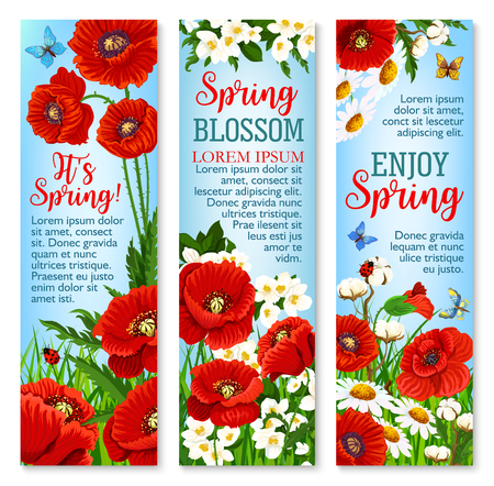 Spring flower field for greeting banner template.のイラスト素材