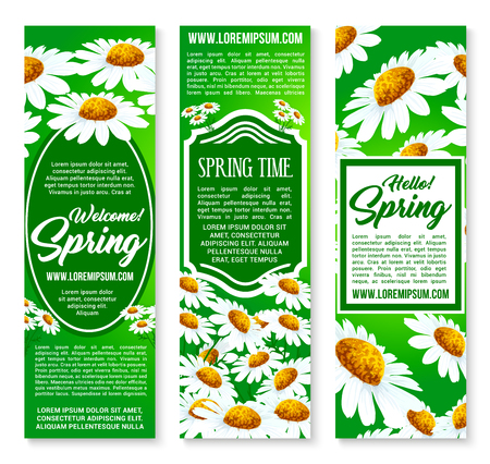 Hello Spring floral banner set with daisy flowersのイラスト素材