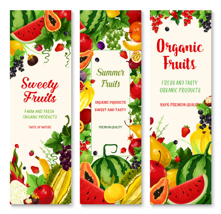 Summer fruit and berry banner set for food designのイラスト素材
