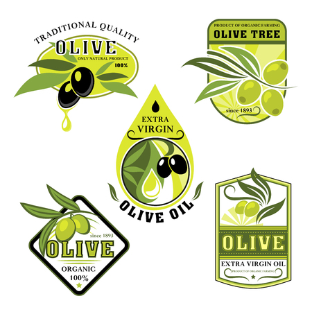 Vector icons of olives and Italian olive oilのイラスト素材