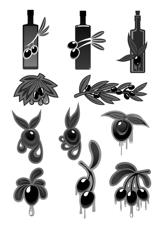 Olive oil product vector icons set. Isolated symbols of black olives branches and fruits with drops and bottle of extra virgin natural organic oil for cuisine and healthy vegetarian cookingのイラスト素材