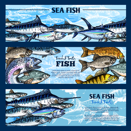 Fresh fish seafood restaurant sketch banner set. Salmon, tuna, blue marlin, mackerel, perch, trout, pike, carp and cod fish. Sea and freshwater animal for seafood menu, fish market and fishing designのイラスト素材