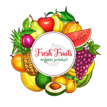 Fresh fruits poster of summer fresh exotic pineapple and pomegranate, apricot or pear and tropical banana. Vector harvest of juicy watermelon or melon, peach, grapes and plums or avocado and lemonのイラスト素材