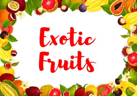Exotic fruits poster for farm market or store. Vector design of banana, orange and guava or papaya, tropical pineapple.のイラスト素材