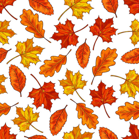 Autumn leaf seamless pattern backgroundのイラスト素材