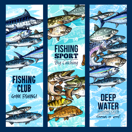 Vector banners for fishing or fisher sport clubのイラスト素材