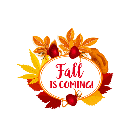 Autumn berry for vector fall is coming poster illustration.のイラスト素材