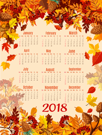 Calendar template of autumn nature season leaf. 2018 year calendar with fall leaves, orange and red maple tree foliage, forest acorn, rowan berry branch and pine cone frameのイラスト素材