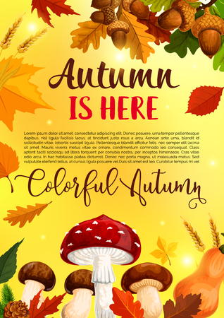 Autumn leaf fall in forest vector greeting posterのイラスト素材