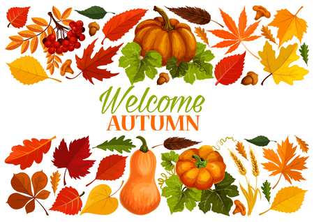 Autumn banner with border of fall leaf, pumpkinのイラスト素材