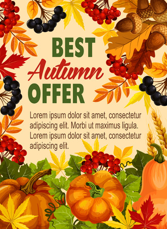 Autumn sale farm market vector discount posterのイラスト素材