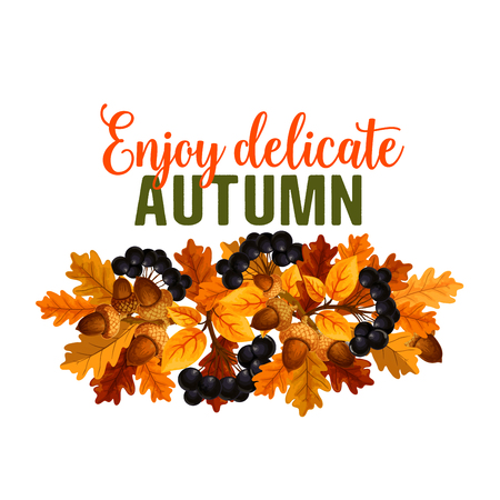 Autumn vector oak acorn or rowan berry fall posterのイラスト素材