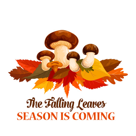 Autumn mushroom maple leaf vector greeting posterのイラスト素材