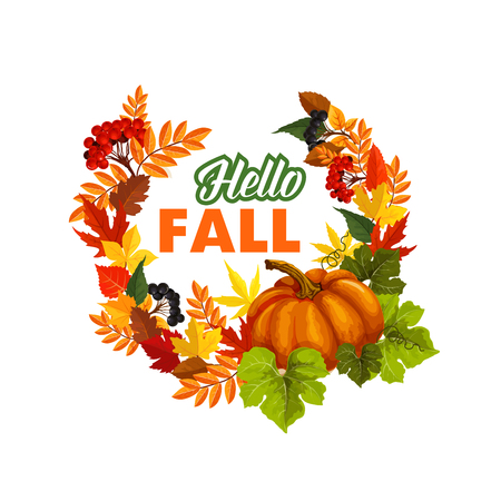 Autumn seasonal greeting card of Hello Fall quote and pumpkin or rowan berry harvest on foliage wreath. Vector poplar, aspen or birch and chestnut autumn leaf, oak acorn for fall holiday designのイラスト素材