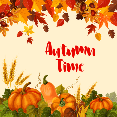 Autumn harvest and Thanksgiving Day poster. Fall leaf, maple tree yellow foliage, orange pumpkin vegetable, ripe wheat ear and briar berry branches for autumn nature season themes designのイラスト素材