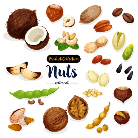Nuts, seed, bean cartoon icon set for food designのイラスト素材