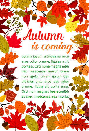 Autumn fallen leaf poster with fall nature frameのイラスト素材