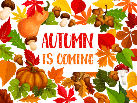 Autumn leaf and fall harvest vegetable welcome banner.のイラスト素材