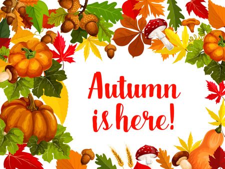 Autumn season poster with fall leaf and pumpkinのイラスト素材