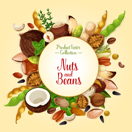 Poster of nuts, grain and seedsのイラスト素材
