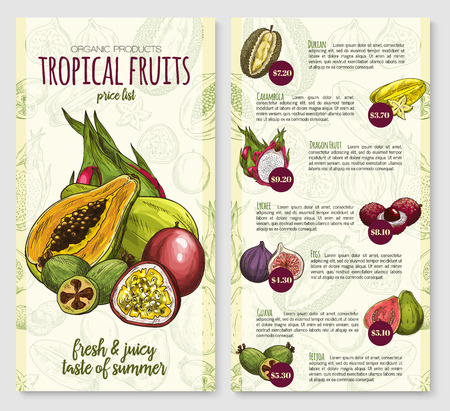 Exotic tropical fruits price list poster template for fruit store or market. Vector design of durian, carambola starfruit or dragon fruit and lychee, fresh fig or guava and feijoa tropic fruit harvestのイラスト素材