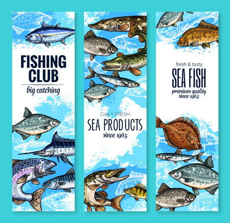Fishing club banners of fresh fisherman fish catch. Vector set of sea marlin, flounder or salmon and tuna, fisher sea products trout, navaga or herring sprat and carp, eel or bream and burbotのイラスト素材