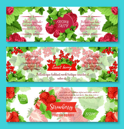 Berries banners for fruit or berry shop. Vector set of strawberry, raspberry or blueberry, forest cranberry or garden cherry and organic red currant and blackcurrant berriesのイラスト素材