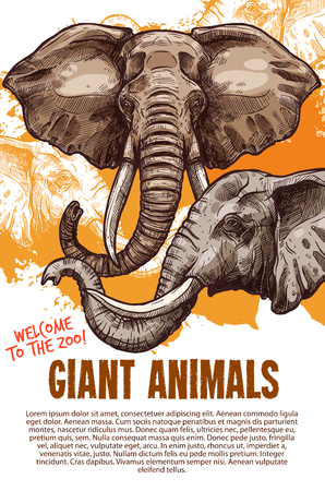 African animals elephants zoo vector posterのイラスト素材