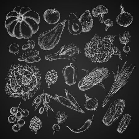 Vector vegetables chalk sketch icons setのイラスト素材