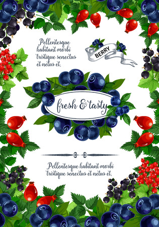 Vector poster of fresh berries and fruitsのイラスト素材