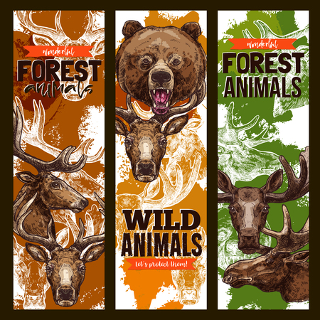 Animal sketch banner set of forest wildlife. Wild bear, deer, elk, reindeer and moose animal sketch poster, carnivore mammal and hoofed animal for zoo flyer, nature and fauna themes designのイラスト素材