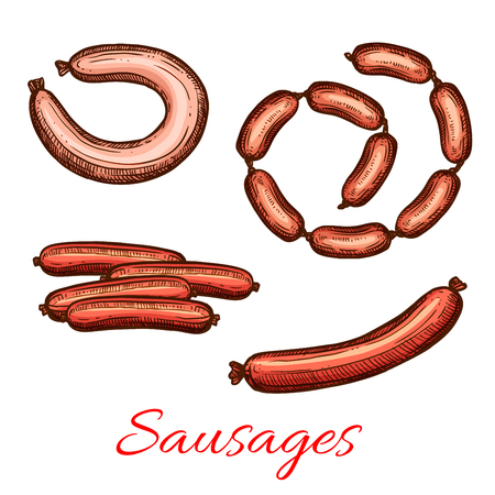 Vector fresh meat sausages products sketch iconsのイラスト素材